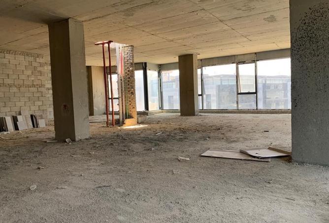 8163778 - Property Image 3