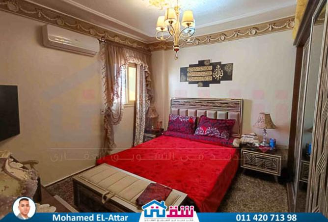 8087699 - Property Image 3