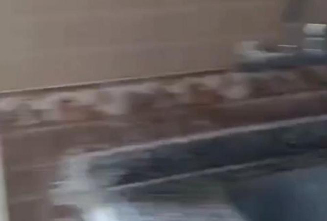 8314231 - Property Image 2