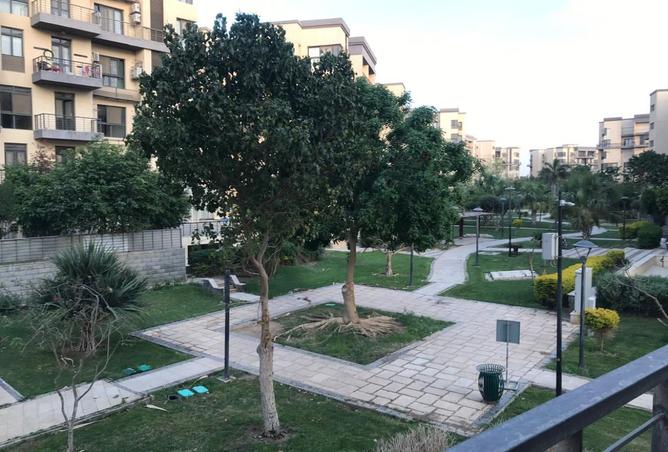 8116096 - صورة العقار 3