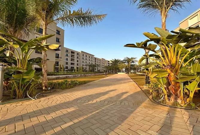 8010651 - Property Image 3