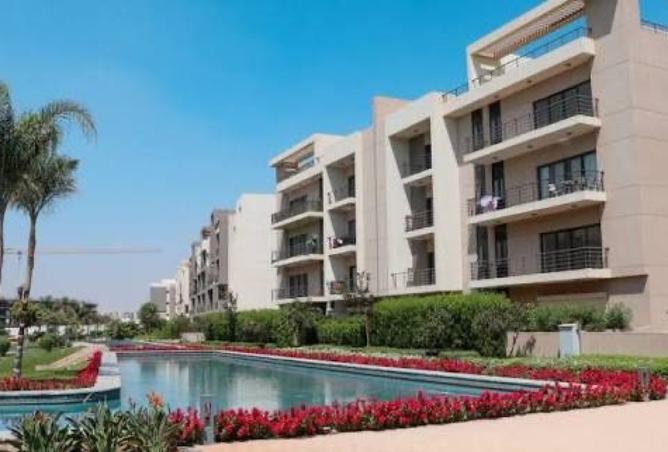 8481864 - Property Image 3