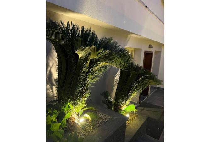 8414306 - Property Image 2