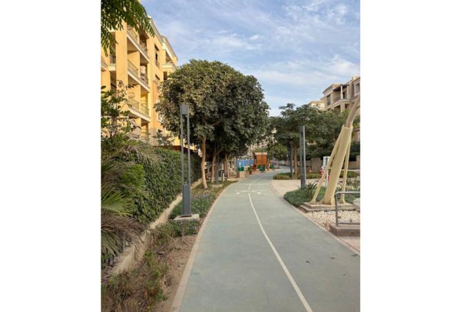 8395404 - Property Image 3