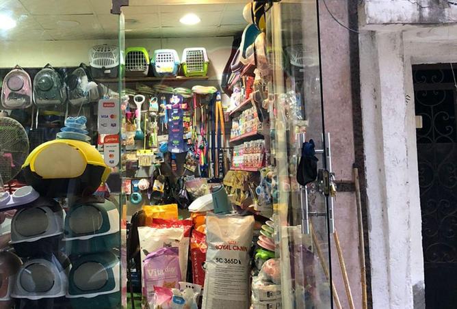 5374608 - Property Image 3