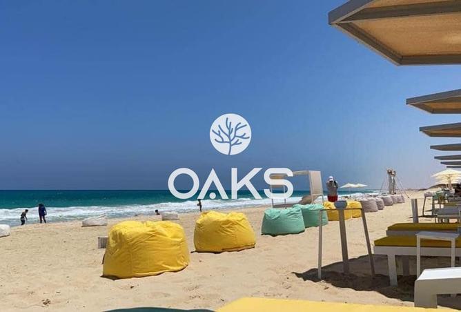 8162425 - Property Image 2