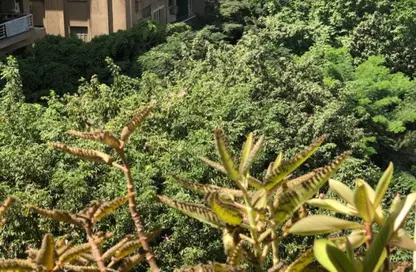 Apartment - 4 Bedrooms - 2 Bathrooms for sale in Ismail Mohamed St. - Zamalek - Cairo