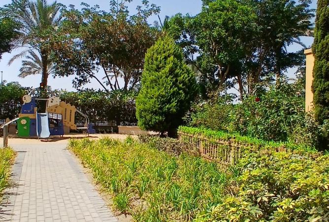 8535484 - Property Image 2