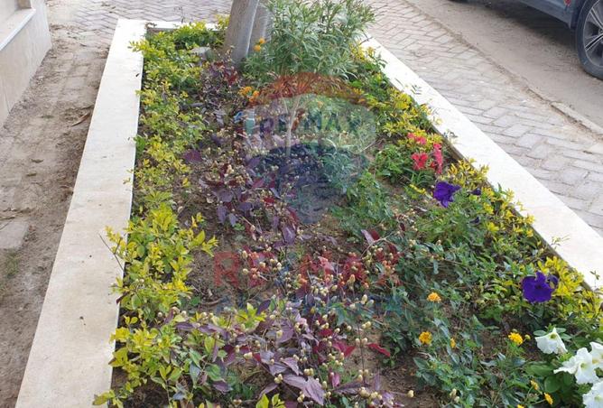 8308450 - صورة العقار 2