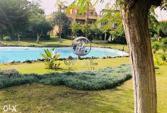 8246979 - صورة العقار 3