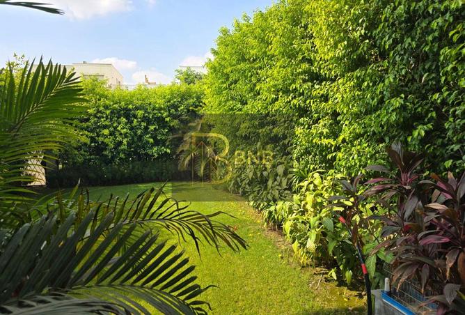 8062395 - Property Image 3