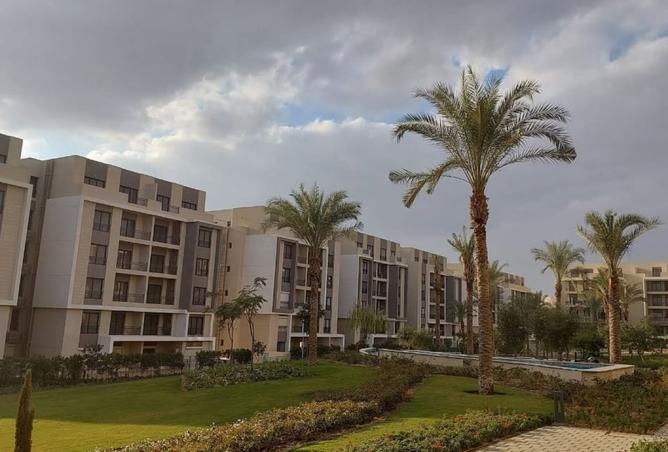 8456618 - صورة العقار 3