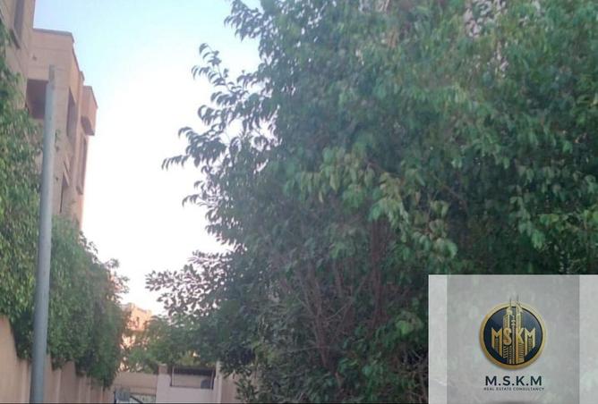 8500830 - صورة العقار 2