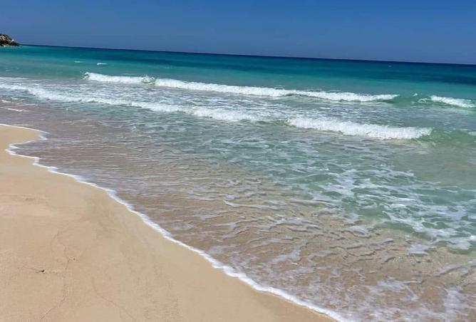 8245156 - Property Image 3