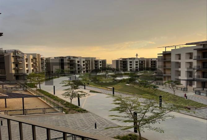 7990978 - Property Image 3