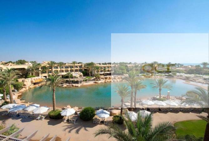 8028640 - صورة العقار 3
