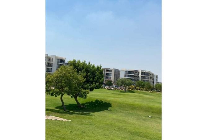 8507289 - Property Image 2