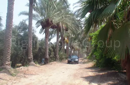 Farm - Studio for sale in El Khatatba - Madinat Al Menofeya - Al Menofeya