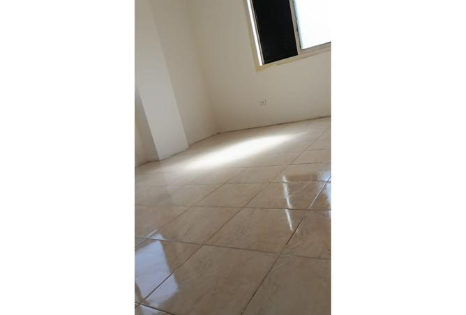 7949937 - صورة العقار 2