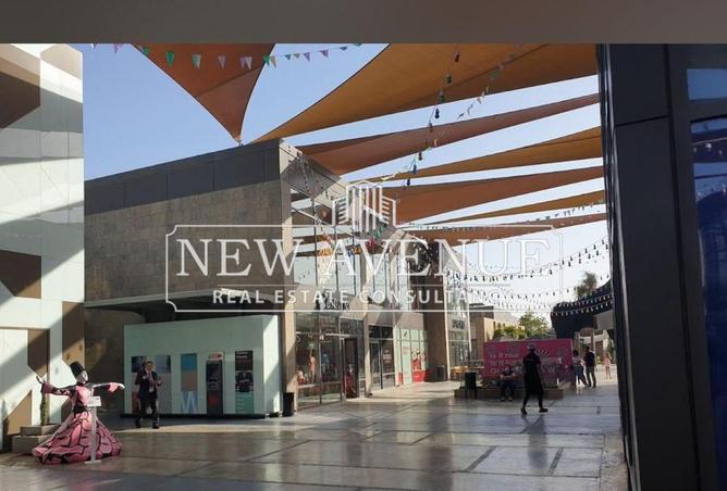 8206123 - Property Image 3