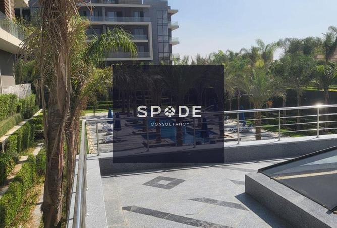 8505403 - Property Image 3