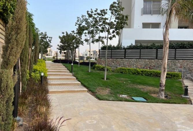 8007986 - صورة العقار 3