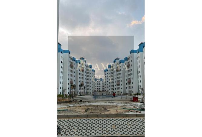 8084005 - Property Image 3