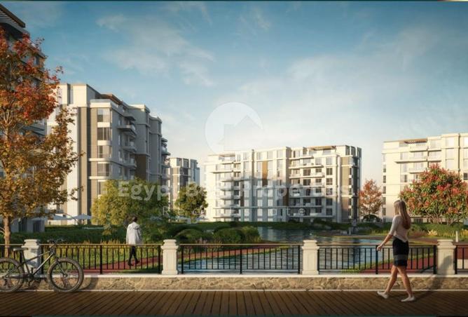 8256478 - Property Image 3