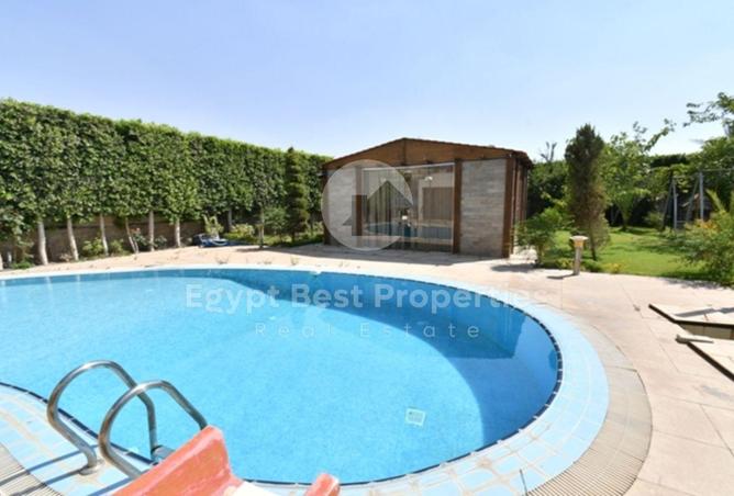 8447574 - صورة العقار 3