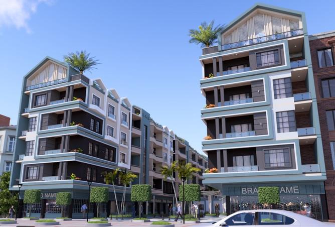 8098167 - Property Image 3