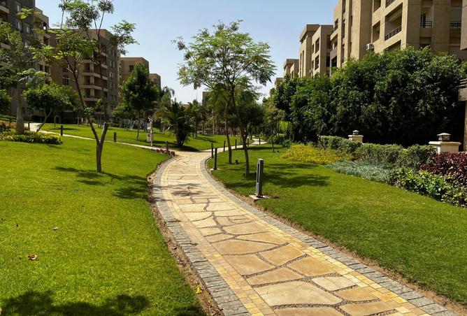 8295701 - صورة العقار 3