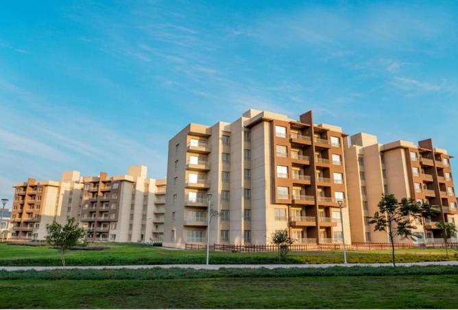 8179702 - Property Image 3