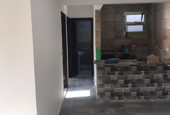 8335229 - Property Image 3