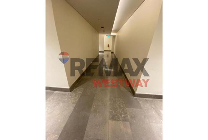 8334513 - Property Image 3