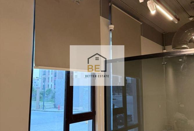 8116125 - Property Image 3