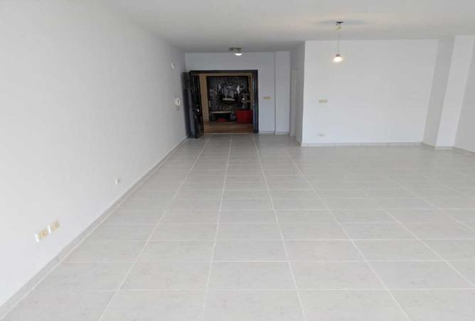 8483761 - Property Image 3