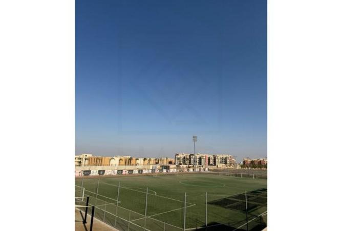 8185751 - Property Image 3