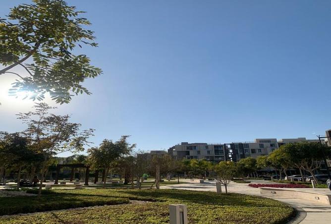 8341265 - Property Image 3