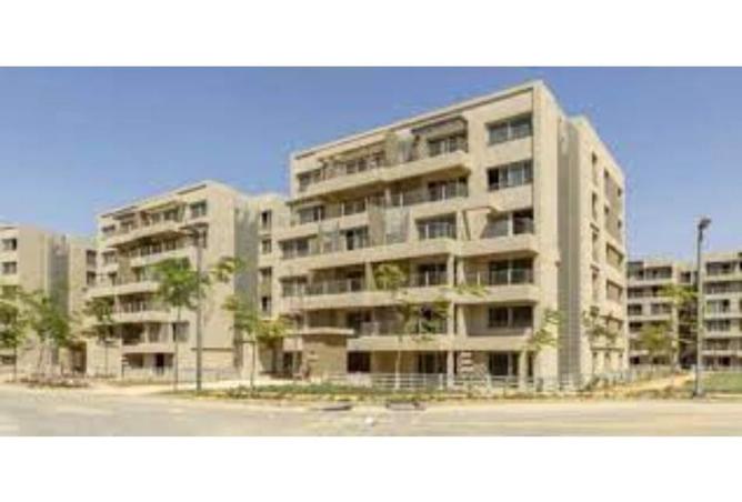 8231712 - صورة العقار 3