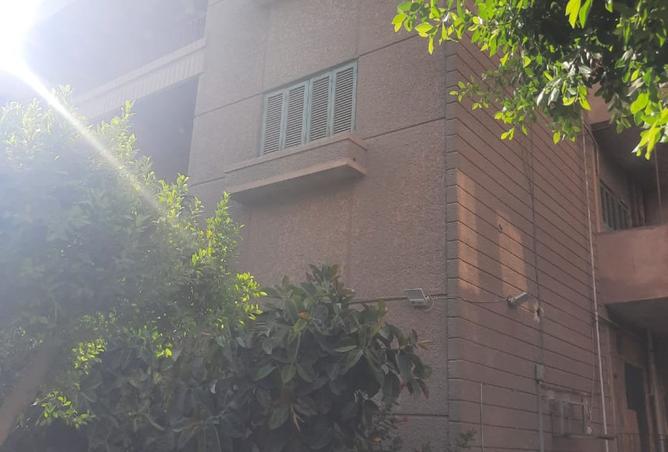 7902302 - صورة العقار 2