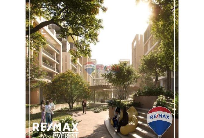 8025612 - Property Image 3