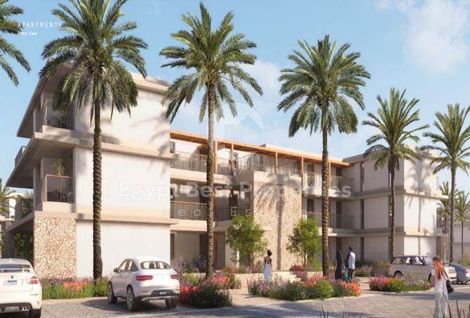 7975644 - Property Image 3