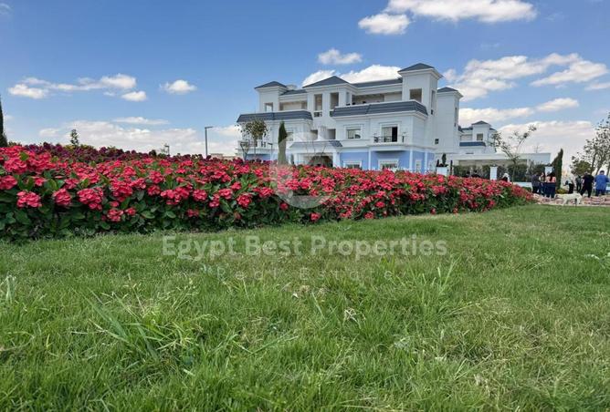 7994107 - صورة العقار 2