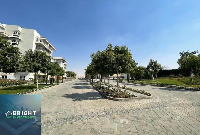 8227751 - Property Image 3