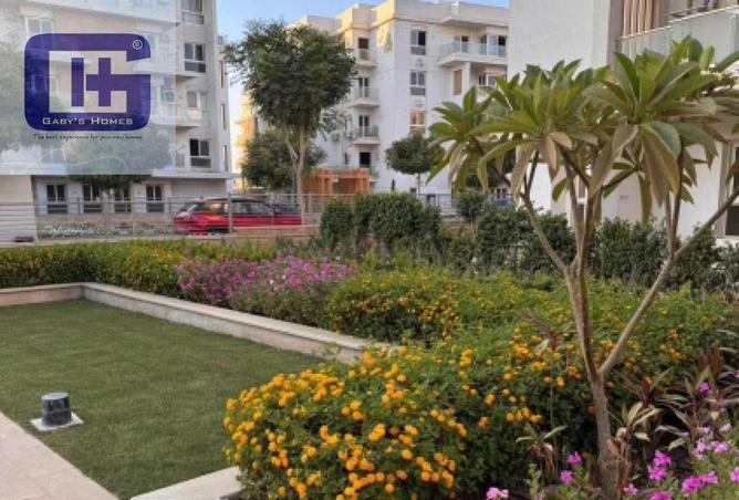 7958456 - صورة العقار 3
