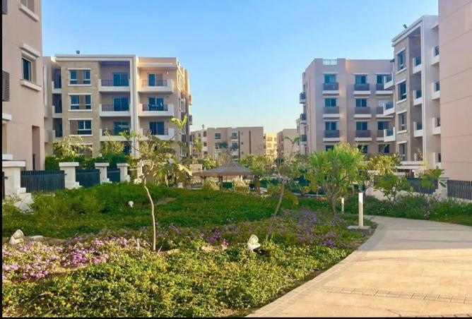 8459886 - Property Image 3