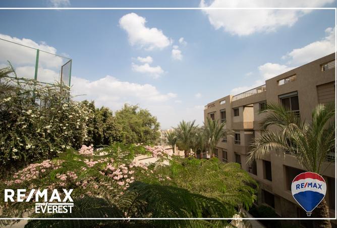 8061519 - صورة العقار 2