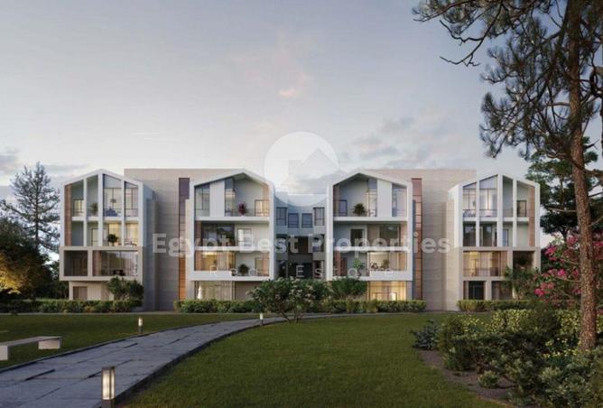 8427651 - Property Image 2