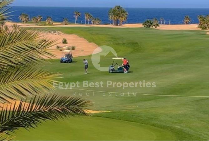 8431863 - صورة العقار 2