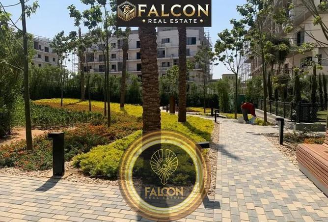 8259288 - صورة العقار 3